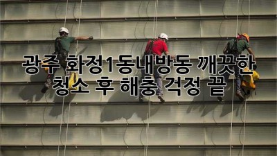 광주 화정1동/내방동, 깨끗한 청소 후 해충 걱정 끝!