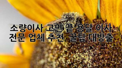 📦 소량이사 고민 끝! 용달 이사 전문 업체 추천 & 꿀팁 대방출 🍯