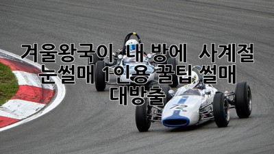 겨울왕국이 🏠 내 방에? ❄️ 사계절 눈썰매 1인용 꿀팁 썰매 대방출! 🏂