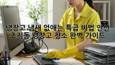 냉장고 냄새 없애는 특급 비법! 안산 초지동 냉장고 청소 완벽 가이드